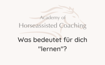 Was bedeutet für dich „lernen“?