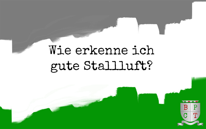 Wie erkenne ich gute Stallluft?⠀