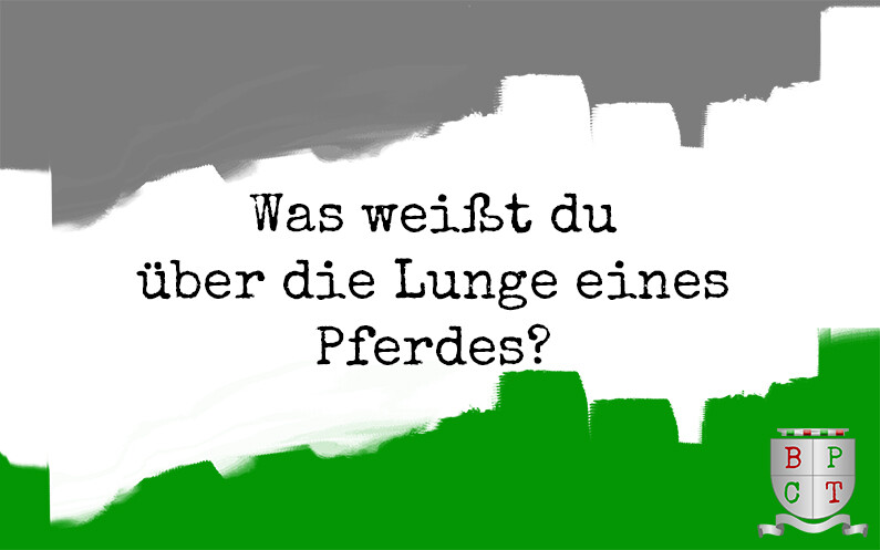 Was weißt du über die Lunge eines Pferdes?