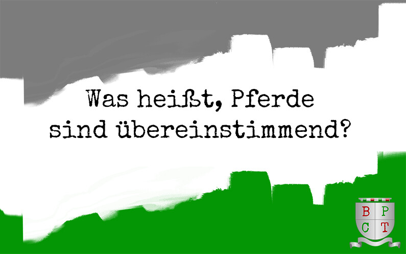 Was heißt Pferde sind übereinstimmend?