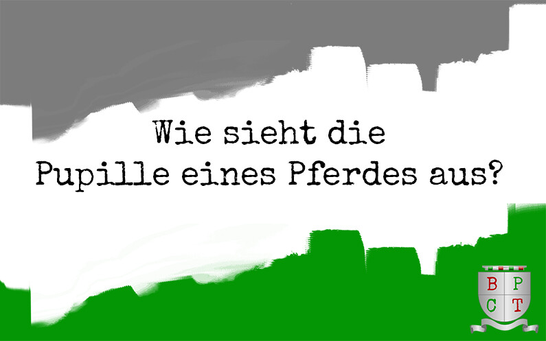 Wie sieht die Pupille eines Pferdes aus?