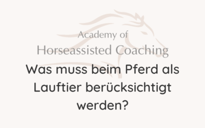 Was muss beim Pferd als Lauftier berücksichtigt werden?