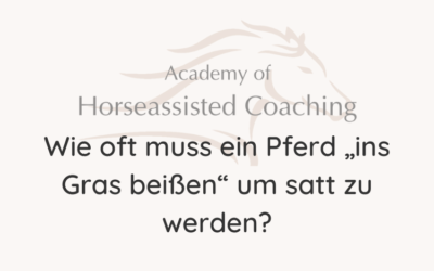 Wie oft muss ein Pferd „ins Gras beißen“ um satt zu werden?