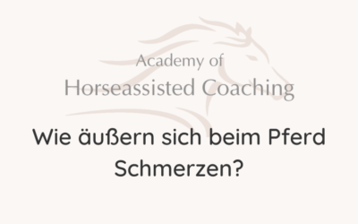 Wie äußern sich beim Pferd Schmerzen?