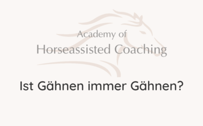 Ist Gähnen immer Gähnen?⠀