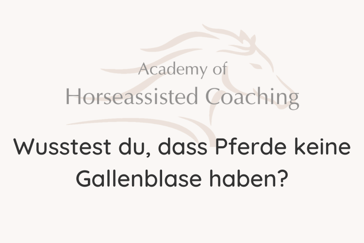 Wusstest du, dass Pferde keine Gallenblase haben?⠀