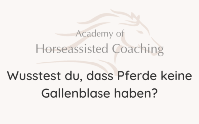 Wusstest du, dass Pferde keine Gallenblase haben?⠀