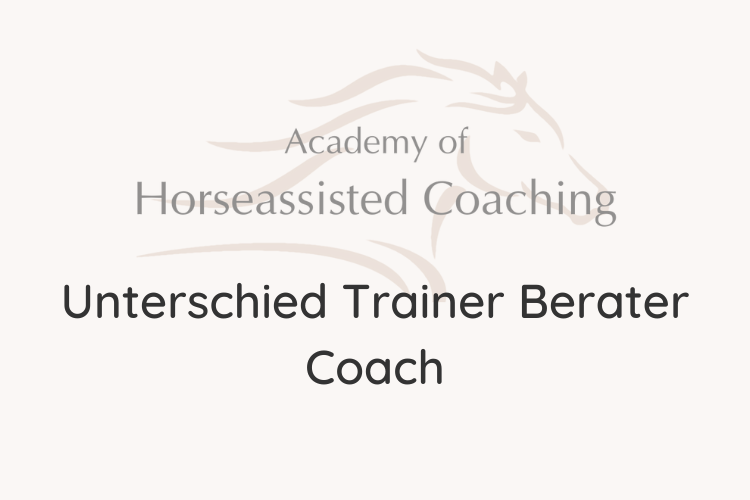 Unterschied Trainer Berater Coach