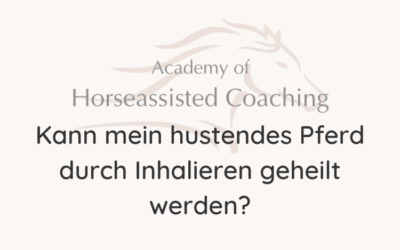 Kann mein hustendes Pferd durch Inhalieren geheilt werden?⠀