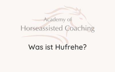 Was ist Hufrehe?