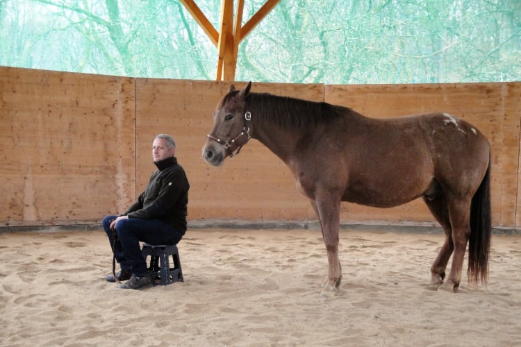 Horseassisted Coaching - Ausbildung zum pferdegestützten Coach 13
