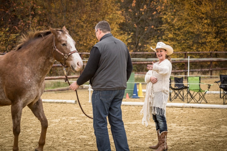 Horseassisted Coaching - Ausbildung zum pferdegestützten Coach 1